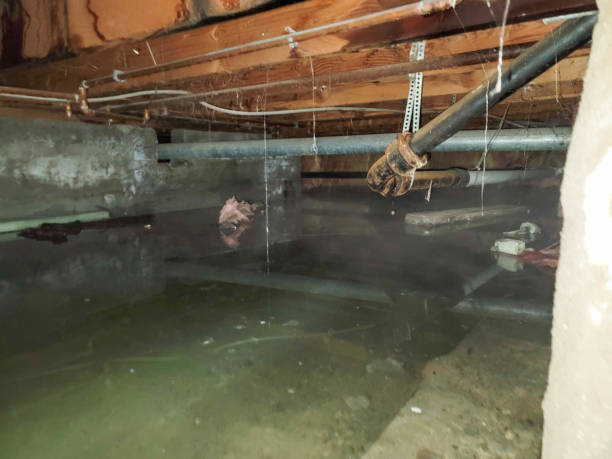 Best Water damage cleanup near me  in Wrightstown, WI