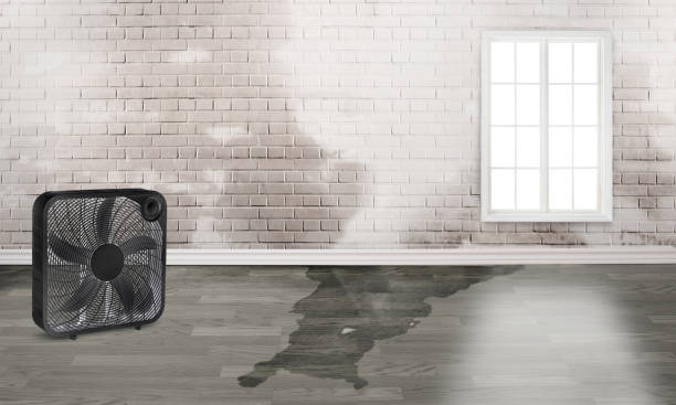 Best Emergency water damage restoration  in Wrightstown, WI