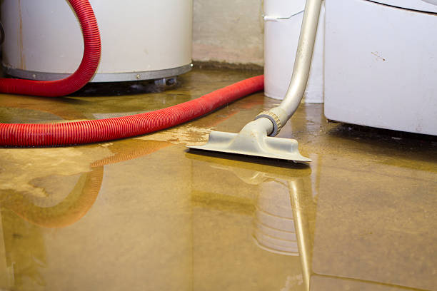 Best Basement water damage restoration  in Wrightstown, WI