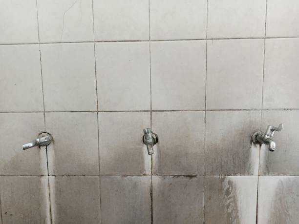 Trusted Wrightstown, WI Water damage restoration Experts