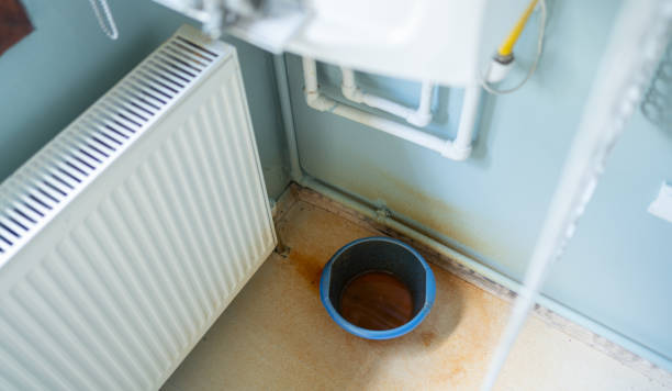 Best Professional water damage repair  in Wrightstown, WI