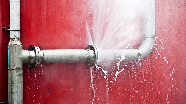 Best Flood restoration services  in Wrightstown, WI